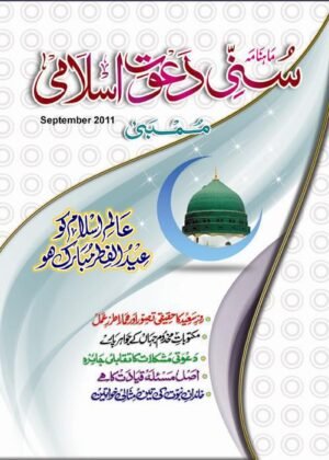 SDI Magazine Sep/2011